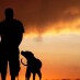 Convívio entre homens e cães criou semelhanças genéticas