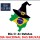 Dia 31 de outubro é declarado por lei, o Dia das Bruxas Wiccas, no Estado de São Paulo.
